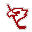 polskihokej.tv-logo
