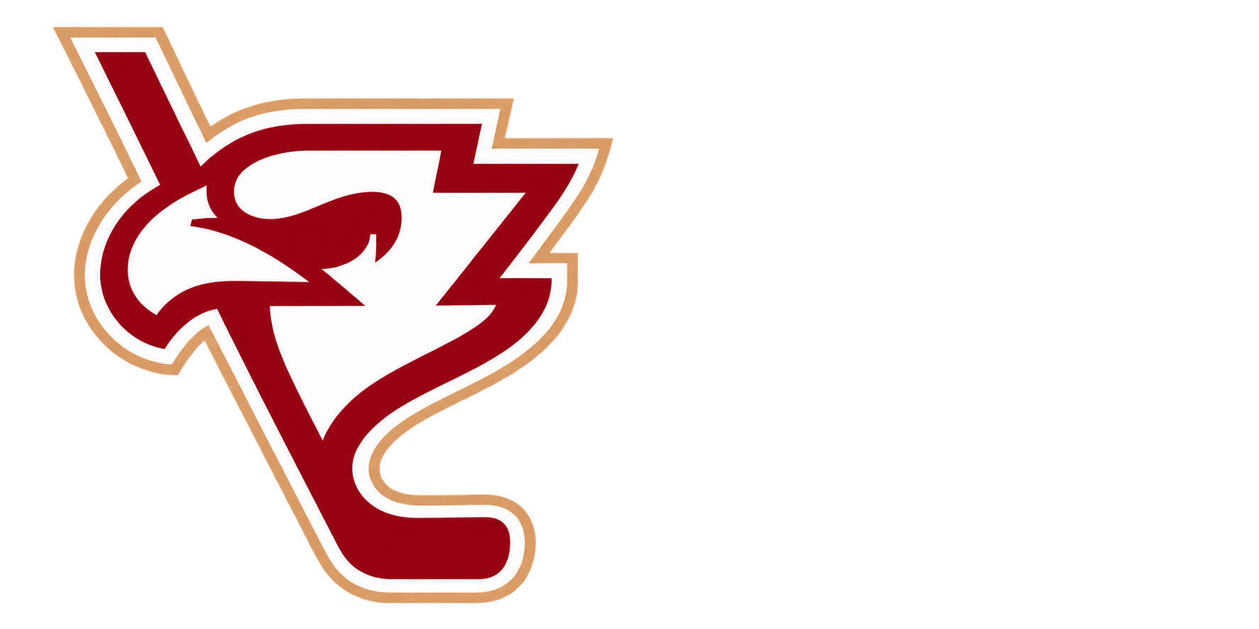 Polski Hokej TV
